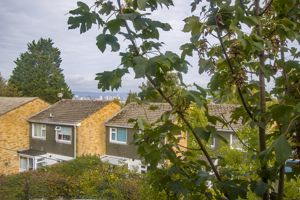 Photo 18- click for photo gallery